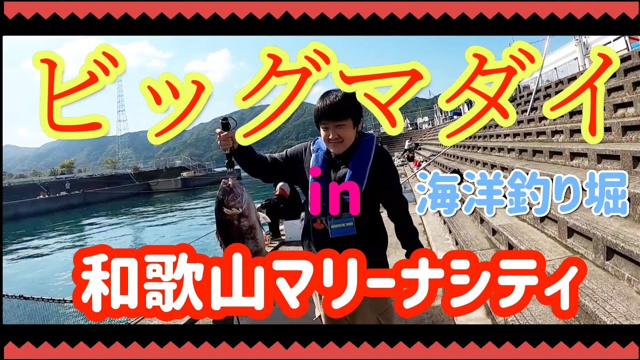 海上釣堀 海釣ポート田尻で嫁が青物を釣るなど無双します 私は完全サポート役w Youtube