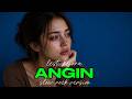 lANGIN -LESTI #celink86 #coversong #slowrock