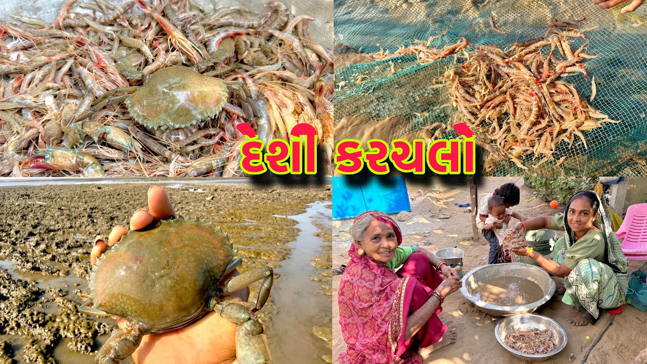 એક જગ્યા એ કેટલા બધા હોંઢીયા આવ્યા 🦐 boya fishing 🎣 dariyai @desirasoikathiyawadi 