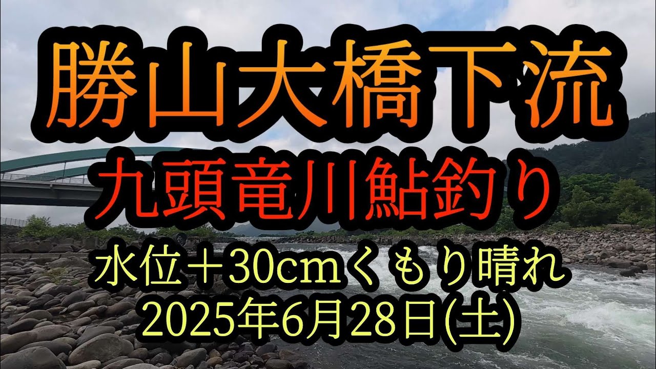 【勝山大橋下流】九頭竜川勝山　鮎釣り2025年6月28日(土)
