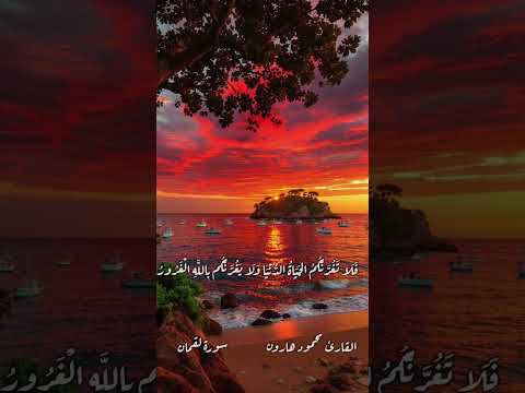 من سورة لقمان القارئ محمود هارون القرآن الكريم