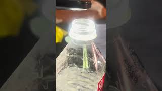 Wave Optics Class 12 | Wave Optics