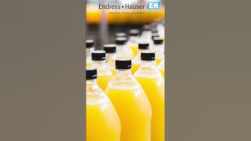 Endress+Hauser Capacitance Level Sensors from AutomationDirect