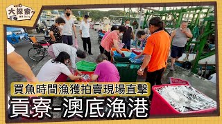 【漁港走透透】 #37 澳底漁港買魚時間及實況｜Fishing Port ... 