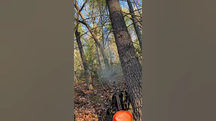 James Chang's first bear