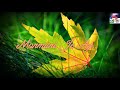 Mahi re | bengali romantic whatsapp status | Armaan Malik. Whatsapp Status Video Download Free