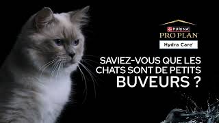 Hydra Care - La 3ème gamelle de votre chat