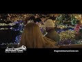 Holiday Lights 2018