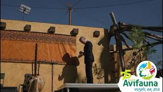 Download Lagu Opening Gierenvallei Umvikeli 14 mei 2025 MP3