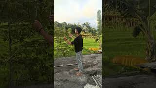 Download Lagu sound anomali horor👻 #horror #anomali #viral #fyp MP3 Download Lagu sound anomali horor👻 #horror #anomali #viral #fyp MP3