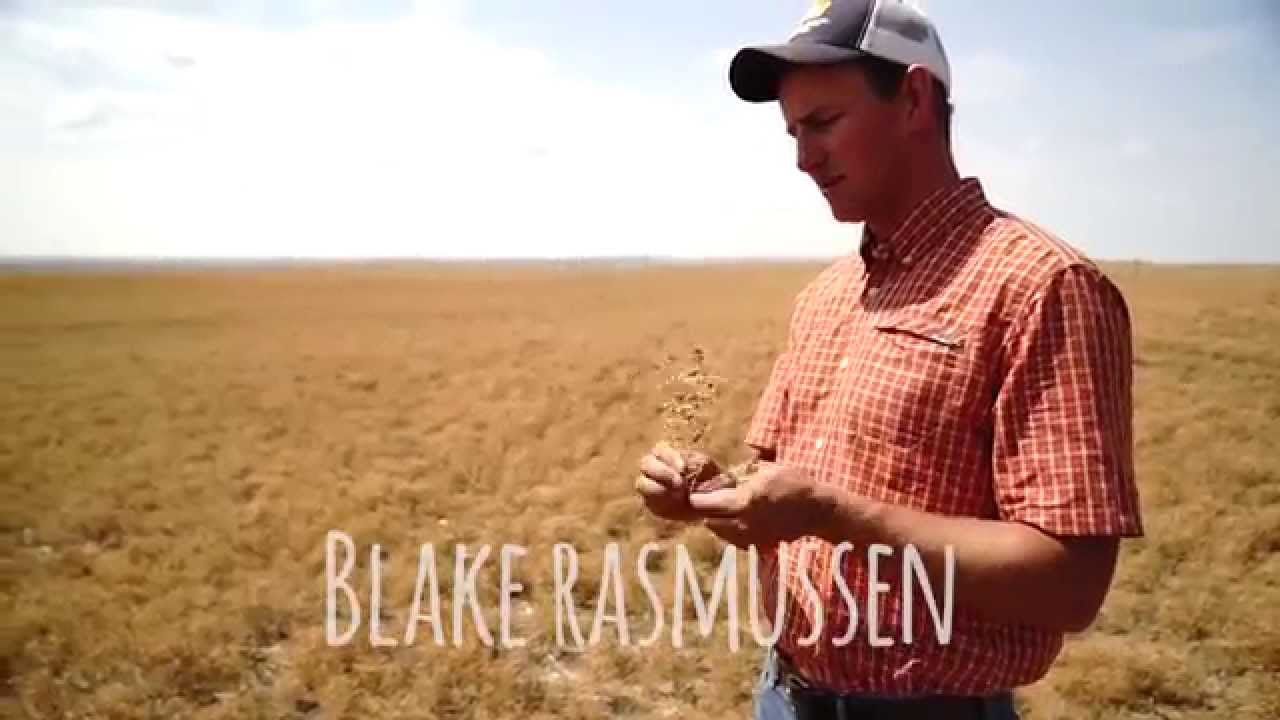 Blake Rasmussen Meet Montana Pulse Grower Blake Rasmussen - YouTube