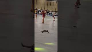 Surprise Guest, Cat, Appears on Dance Floor at Marmaris Championship