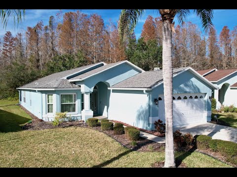 1041 Sweet Jasmine Dr, Trinity, FL home video tour