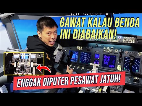 Video: Di mana trim sering digunakan?