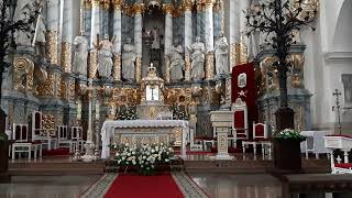 Кафедральный собор Святого Франциска Ксаверия или  Фарный костёл. Католический собор в Гродно