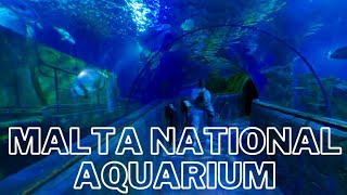 Exploring Underwater World In Malta National Aquarium 2023 4K | Malta