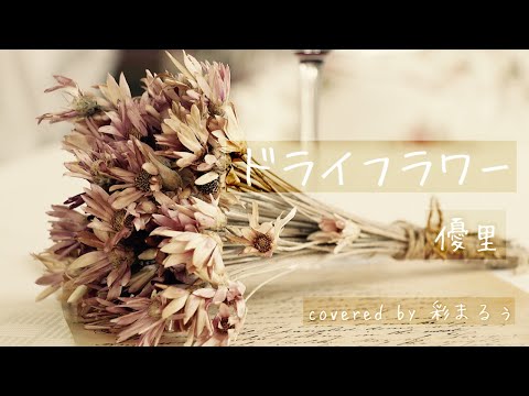 ［女性が歌う］ドライフラワー(#3)／優里