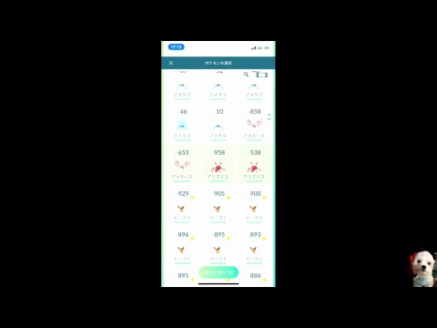 LIVE　ライブ　ポケモンピカブイ　ポケモンGO
