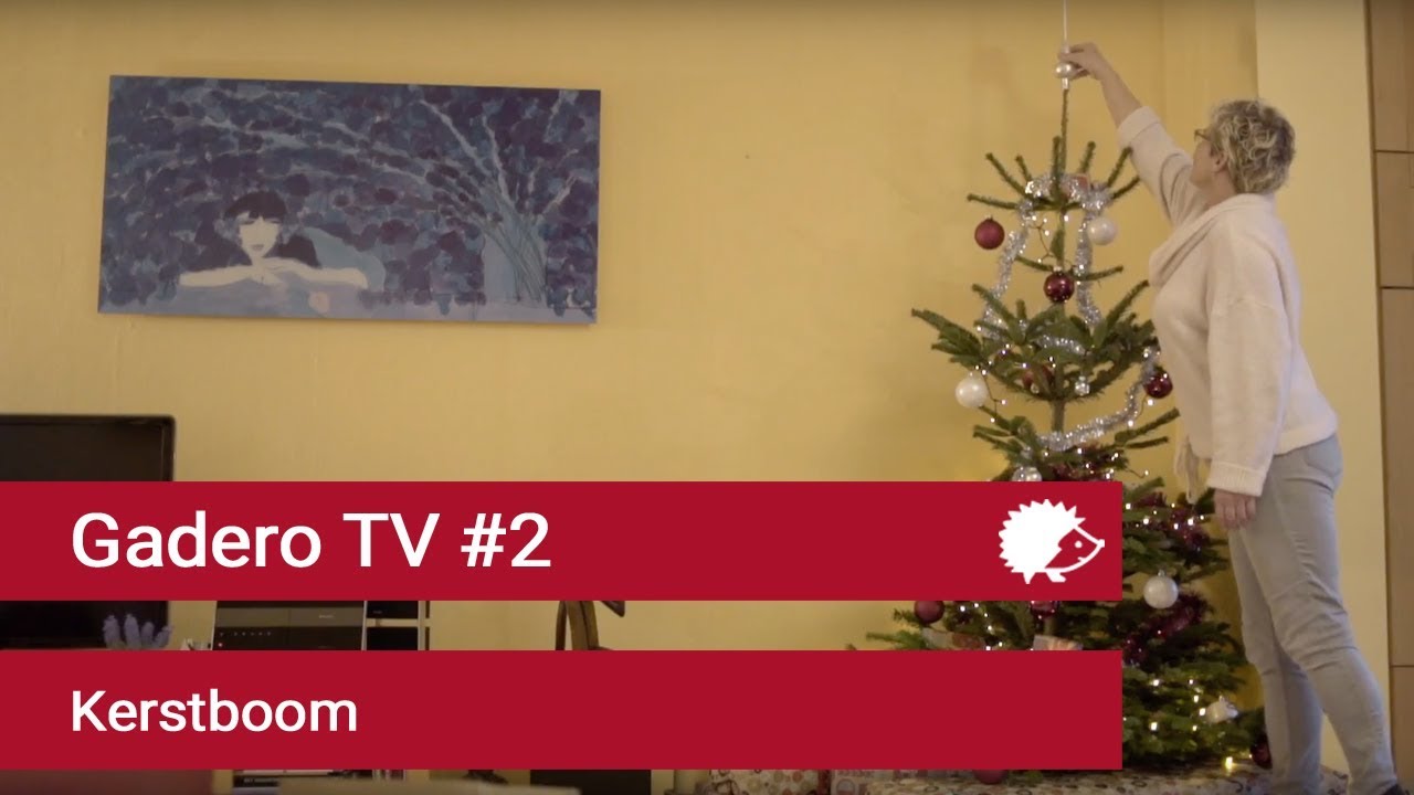 #2 Kerstboom kopen online // Easyfix stam // bezorging thuis