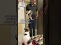 Dad Mistakes Stray Cat for His Family Cat