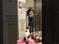 Dad Mistakes Stray Cat for His Family Cat
