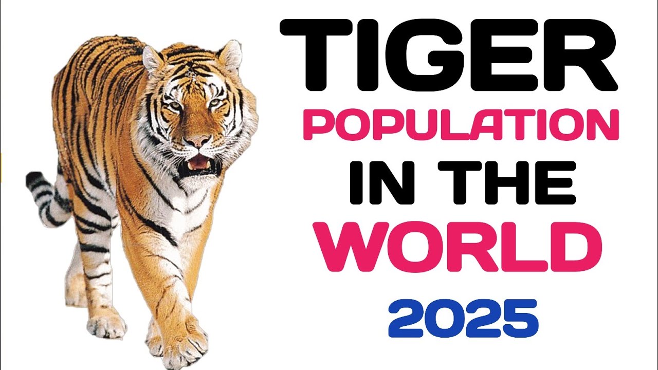 Tiger Population in Different Countries 2025 