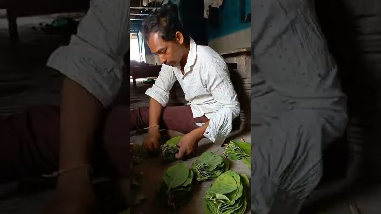 tendu patta bidi patta