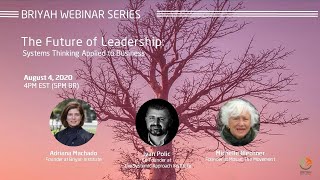 Systems Thinking Applied to Business with Adriana Machado, Michelle Blechner and Ivan Polic