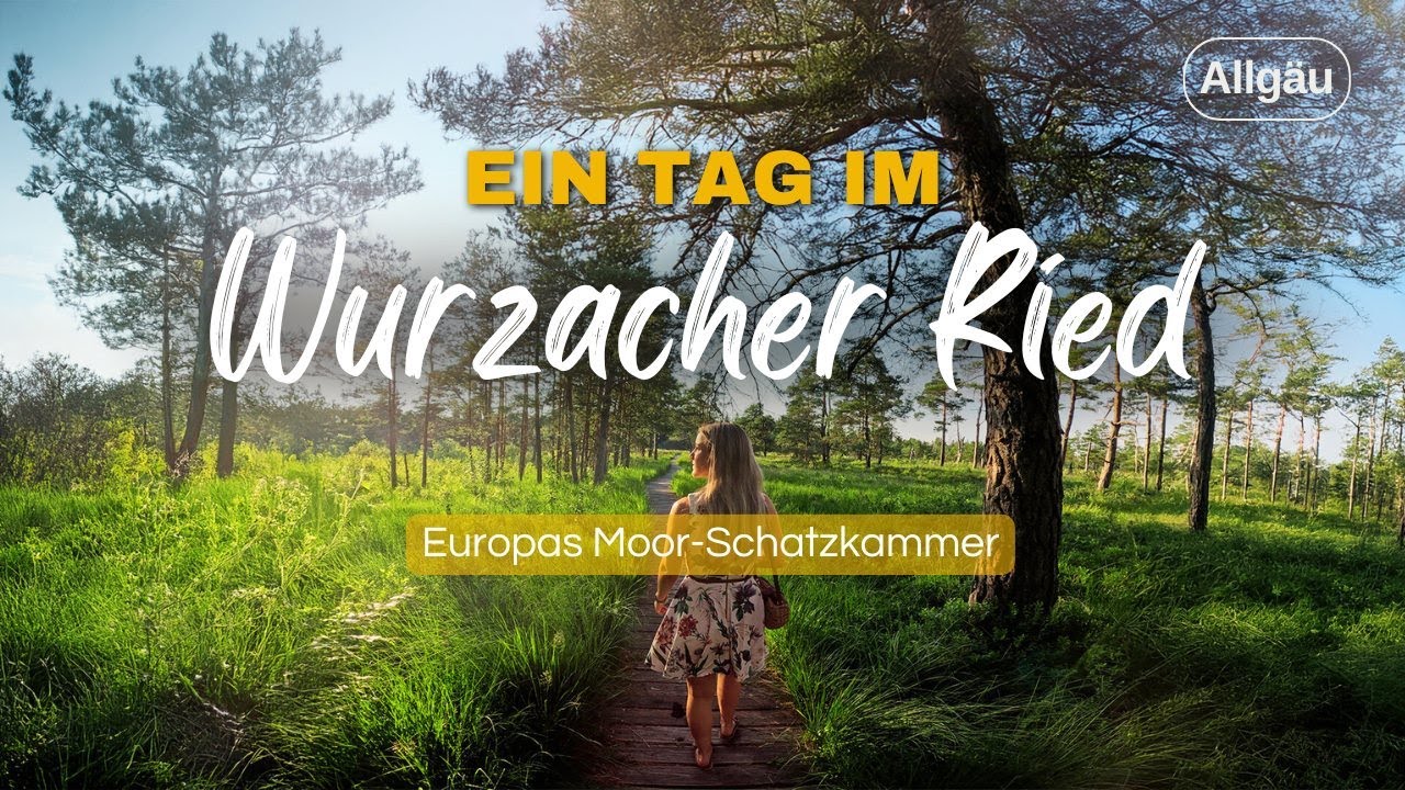 Ein Tag im Wurzacher Ried – Europas Moor-Schatzkammer | ReisenAKTUELL.COM
