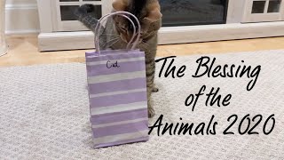 The Blessing of the Animals 2020