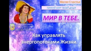Как управлять энергопотоками Жизни 1 урок Как управлять энергопотоками Жизни 1 урок