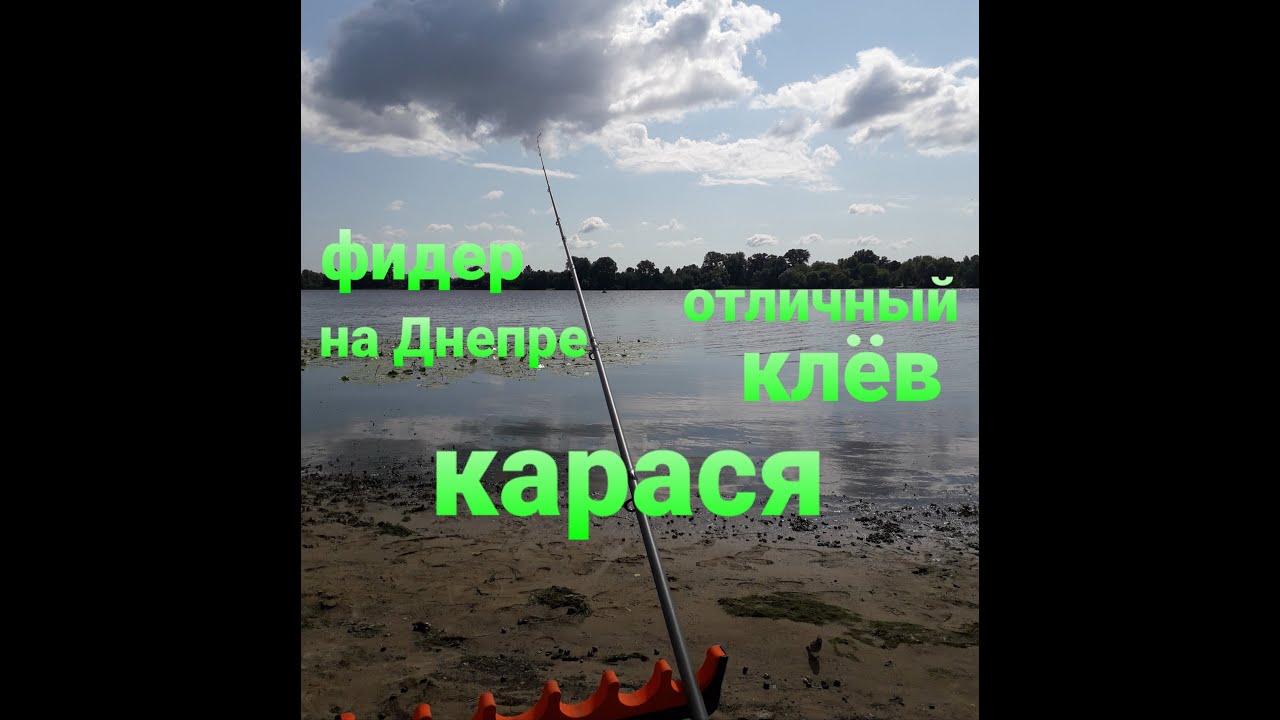 Ловля карася на фидер в Киеве!Монстры рвут поводки и разгибают крючки!Рыбалка Киев.