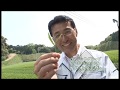 静岡県掛川市　佐々木製茶「深蒸し茶物語/茶葉への挑戦」