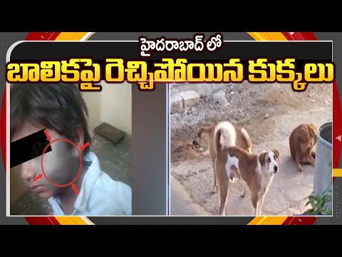 5 Year Old Girl Severely Injured In Dogs Att*ack At Suraram || TV5 News ApT - TV5NEWS
