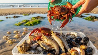 Catching Living Sea Creatures In The Beach Mud