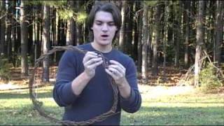 How to Make a Homemade Christmas Vine Wreath