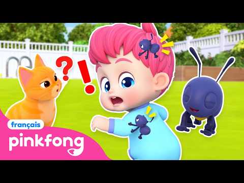 [BEST] 🐱 Miou le Chat et les Petites Fourmis 🐜 | +Comptines | Bebefinn Français 👶 Chansons Enfants