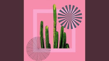 Elegant Backdrops for Forgetting Time