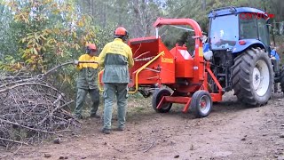 Falta de alunos ameaça o futuro da formação florestal