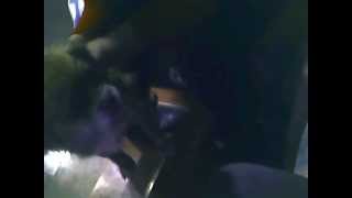 Capture 20141016 3
