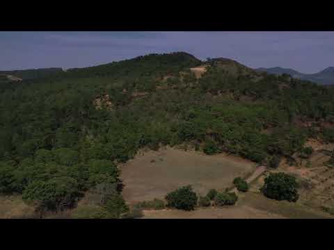 Huertas de aguacate en San Gabriel, Jalisco