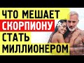 Астрологи рассказали, ЧТО МЕШАЕТ СКОРПИОНУ РАЗБОГАТЕТЬ