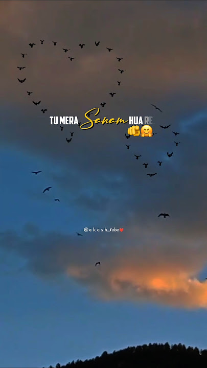 Sanam re 🥰❣️ | Arijit Singh | song lyrics video | whatsapp status #shorts #trending #hindsong #viral