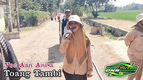 ANDI PUTRA 1 Toang Tambi Voc Aan Anisa Live Tawang Sari Tgl 1 September 2023