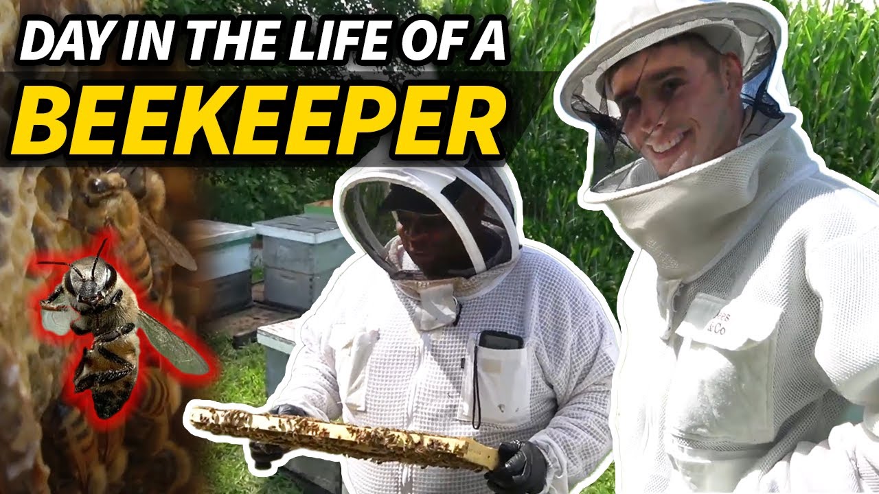 Day in the Life of a Beekeeper
