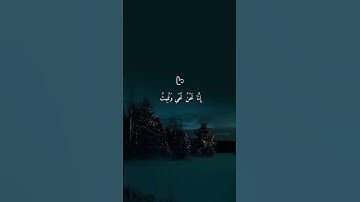 تلاوة تأخذك إلى عالم آخر بصوت الشيخ ماهر المعيقلي  #ماهر_المعيقلي #قرآن