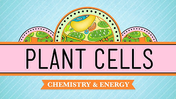 Plant Cells: Crash Course Biology #6