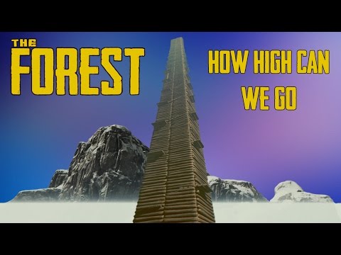 Video: Forest And Towers
