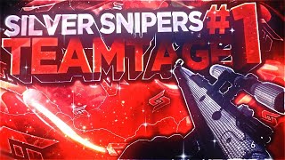 Silver: Multi-CoD Montage #1 by Silver Tucker and Amuziie