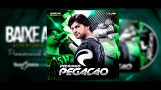 Pedrinho Pegação - Solta Esse Cabelo E Vem Repertorio Novo